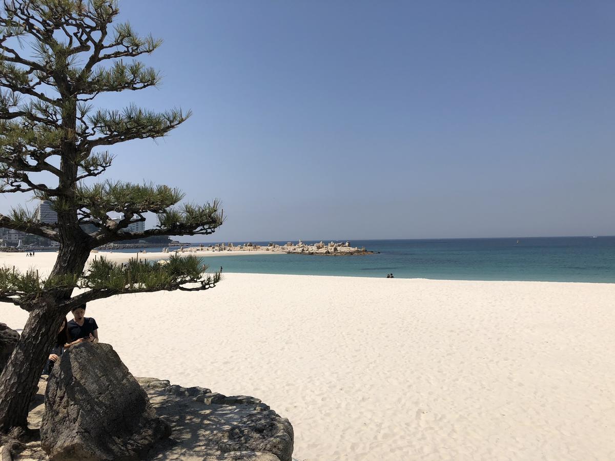 長楽園 Villa Shirahama Exterior photo